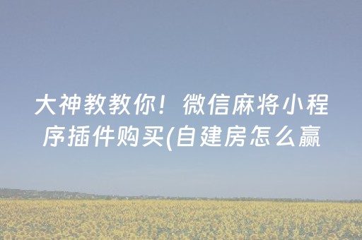 玩家必备十款“微乐麻将挂件神器”（透明器教程)