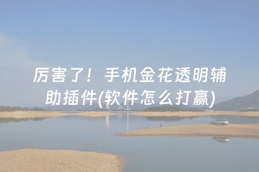 必看盘点揭秘“微信小程序财神十三张外卦辅助器”（AI辅助胡牌规则)