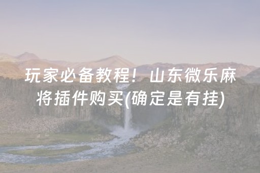 玩家必备教程！山东微乐麻将插件购买(确定是有挂)