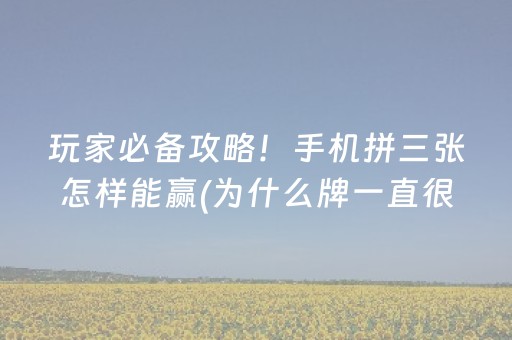 一分钟揭秘“微乐河南麻将专用神器下载”（怎么调胜率)