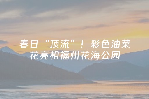 玩家必看攻略“微乐山东麻将怎么才能常赢”（小程序辅助软件)