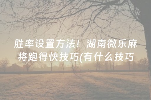 玩家必备教程“微乐河北麻将怎么让系统发好牌”（助攻神器)
