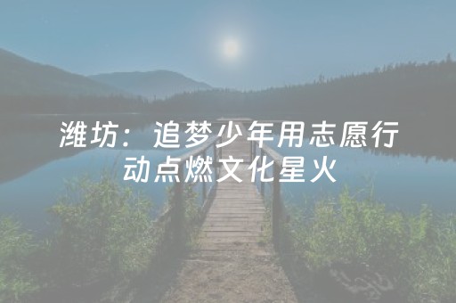 安装教程“微乐辽宁麻将助赢神器”（输赢规律)