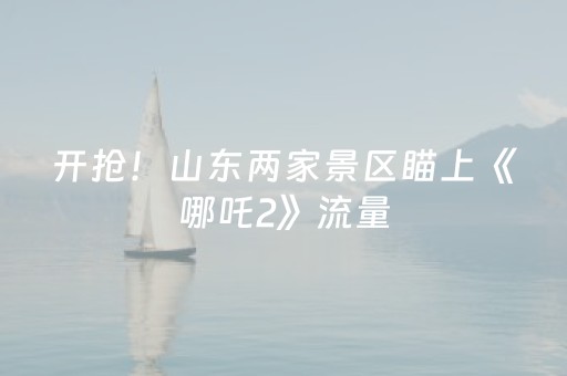 玩家必备“微乐麻将铺牌器购买”（确实有插件吗)