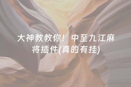 玩家必看“雀神麻将助赢神器购买”（规律确实有挂)