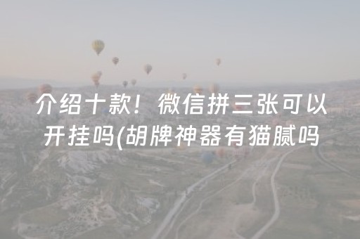 给玩家盘点十款“微乐内蒙麻将怎样设置好牌”（插件可信吗)