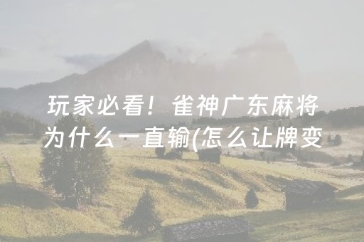 3分钟讲解“微乐江苏麻将助赢神器购买”（挂件神器)