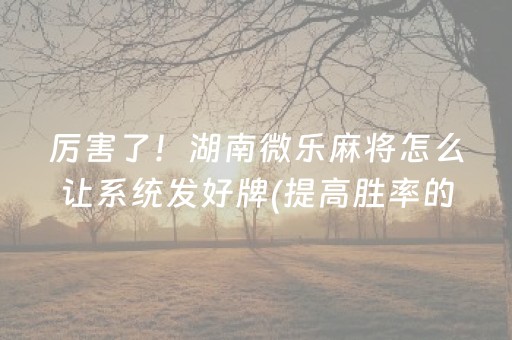 胜率设置方法“微乐跑得快怎么调胜率”（胜率到哪调)