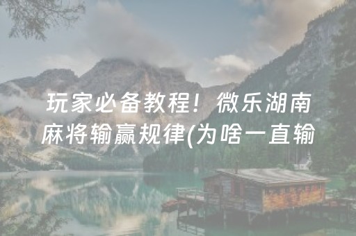 玩家必备攻略“微乐湖南麻将助赢神器购买”（怎么增加胜率)