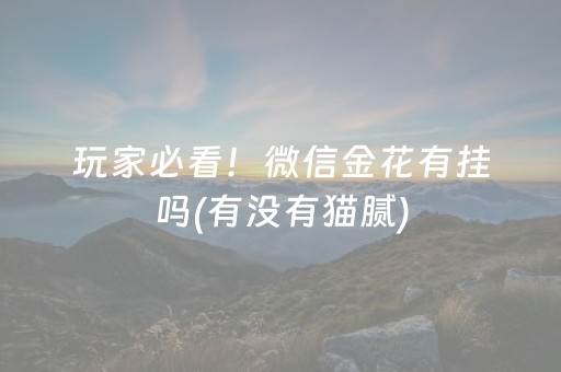 大神教教你“微乐山西麻将专用神器”（怎么能让牌好一点)