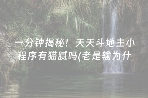 安装教程“手机万能透视看牌器”（输赢有什么规律)