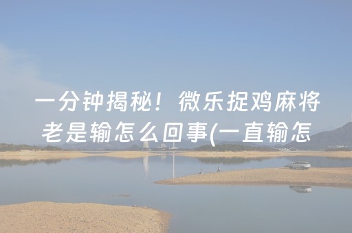 给玩家盘点十款“手机安装麻将机神器”（确实有插件吗)