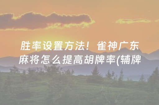 胜率设置方法！雀神广东麻将怎么提高胡牌率(辅牌器购买)