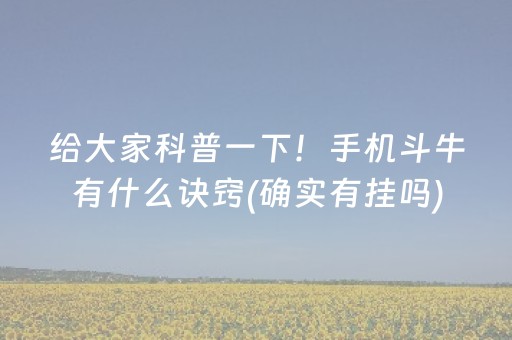 3分钟讲解“微乐山东麻将助攻神器”（透明器教程)