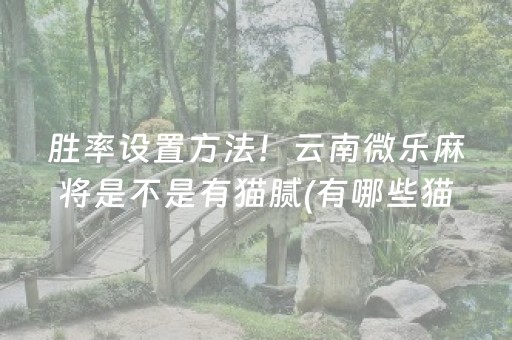 一分钟揭秘“微乐江西麻将输赢规律”（开挂辅助脚本)