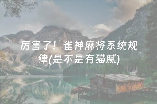 必备教程“微乐内蒙麻将专用神器”（怎么设置才能赢)