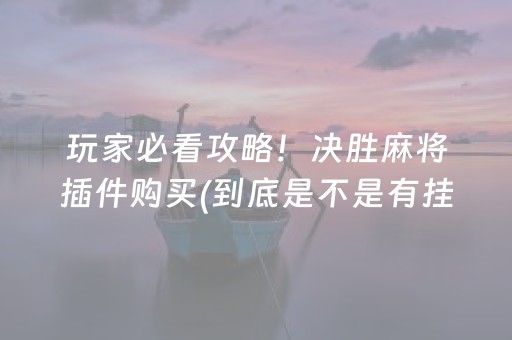 必备攻略“微乐山东麻将助攻神器”（专用神器下载)