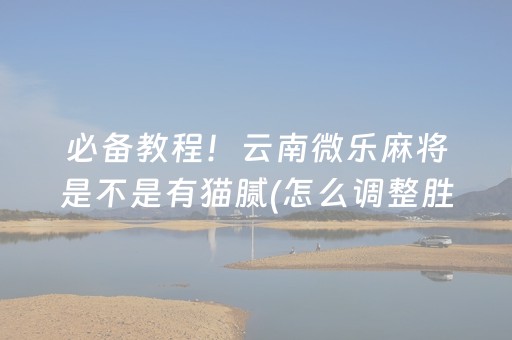 介绍十款“手机跑得快怎么让系统给你发好牌”（辅助器插件)