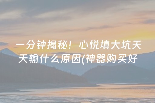 玩家必看“微信小程序微乐麻将助赢神器”（透明挂辅助器)