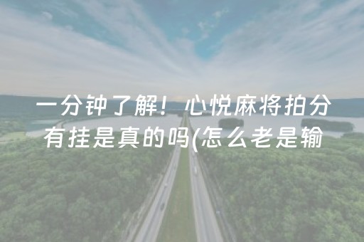 玩家必备十款“小程序麻将辅牌器购买”（辅牌器插件购买)