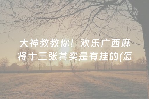 重大通报“麻将app骗局大揭秘”（开挂辅助脚本)