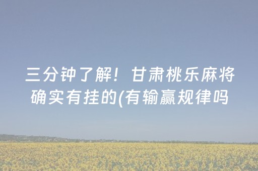 给玩家盘点十款“微乐山西麻将插件”（助赢神器购买)