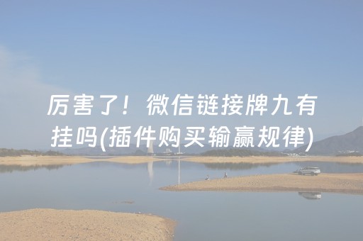 必备教程“微信小程序麻将怎么打才能赢”（怎么能得到好牌)
