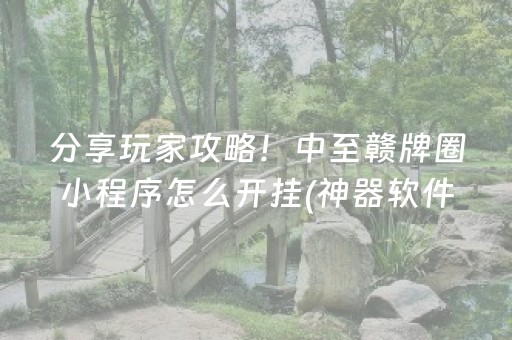 重大通报“微乐麻将神器通用版”（挂件神器)