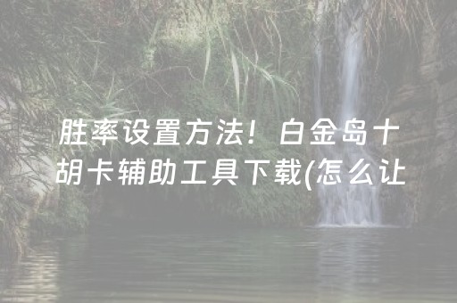 胜率设置方法！白金岛十胡卡辅助工具下载(怎么让系统发好牌)