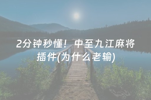 2分钟秒懂！中至九江麻将插件(为什么老输)