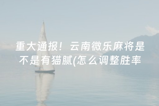 玩家必看攻略“微乐天津麻将助赢神器购买”（技巧和打好牌方法)