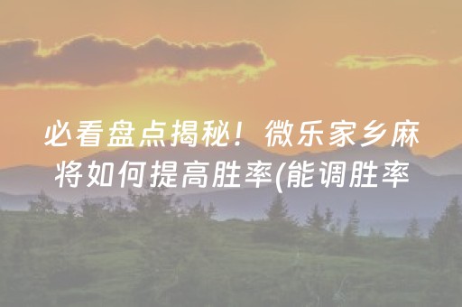 安装教程“微乐麻将挂件神器”（透明挂辅助器)