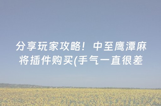 分享玩家攻略！中至鹰潭麻将插件购买(手气一直很差)