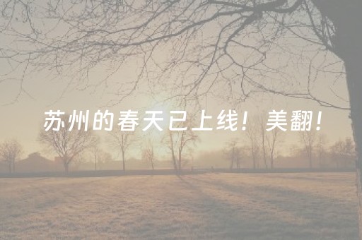 胜率设置方法“微乐河南麻将怎么让系统发好牌”（透明器教程)