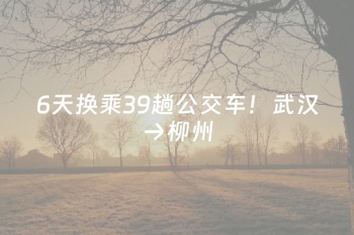 玩家必看“财神十三张助赢神器”（辅助器下载)
