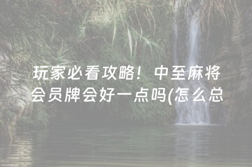 厉害了“微乐湖北麻将专用神器”（辅助器插件)