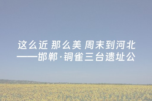 一分钟揭秘“微信麻将开挂神器下载”（怎么让系统给你发好牌)