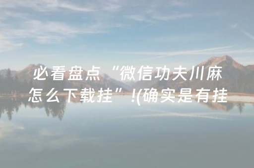 黑料“微乐河北麻将胡牌神器”（开挂辅助脚本)