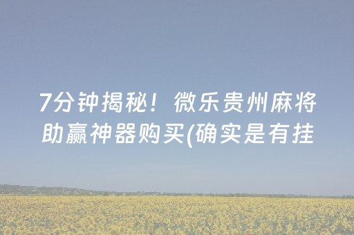 7分钟揭秘！微乐贵州麻将助赢神器购买(确实是有挂)
