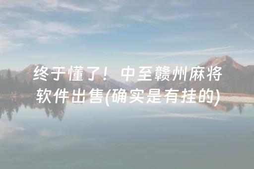 终于懂了！中至赣州麻将软件出售(确实是有挂的)