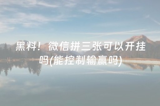 给玩家盘点十款“微乐家乡麻将助赢神器购买”（自建房怎么拿好牌)