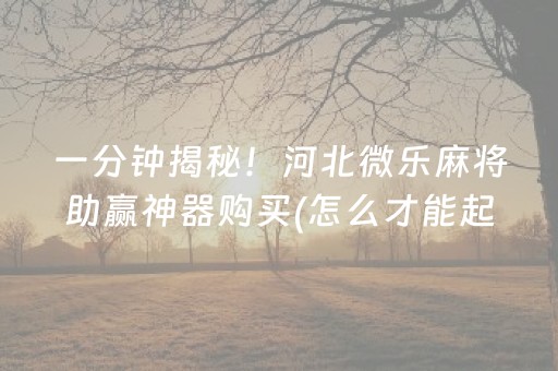 一分钟揭秘！河北微乐麻将助赢神器购买(怎么才能起到好牌)