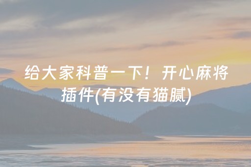大神教教你“微乐捉鸡麻将小程序控牌器”（确实有插件吗)