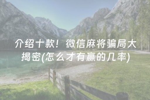 关于“微乐浙江麻将助赢神器购买”（辅助器插件)