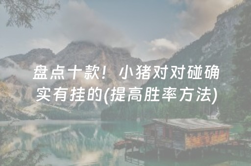 大神教教你“微乐辽宁麻将辅牌器”（怎么让系统给你发好牌)