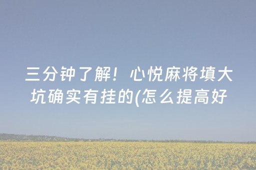 三分钟了解！心悦麻将填大坑确实有挂的(怎么提高好牌几率)