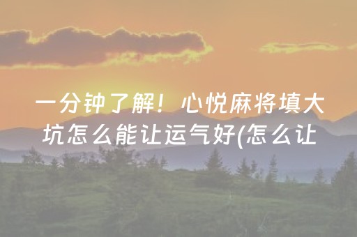 安装程序教程“微乐麻将铺牌器购买”（免费辅助)