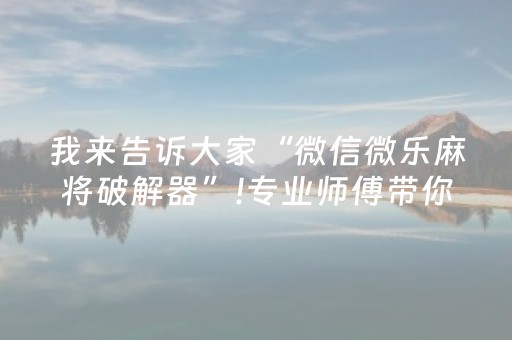 玩家必备“小程序微乐麻将自建房怎么赢”（助攻神器)