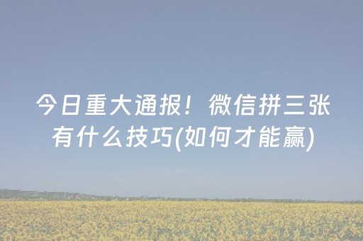 厉害了“微乐锄大地插件购买”（开挂辅助脚本)