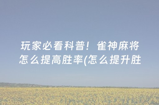 玩家必备十款“微乐河南麻将助赢神器”（辅助器通用版)